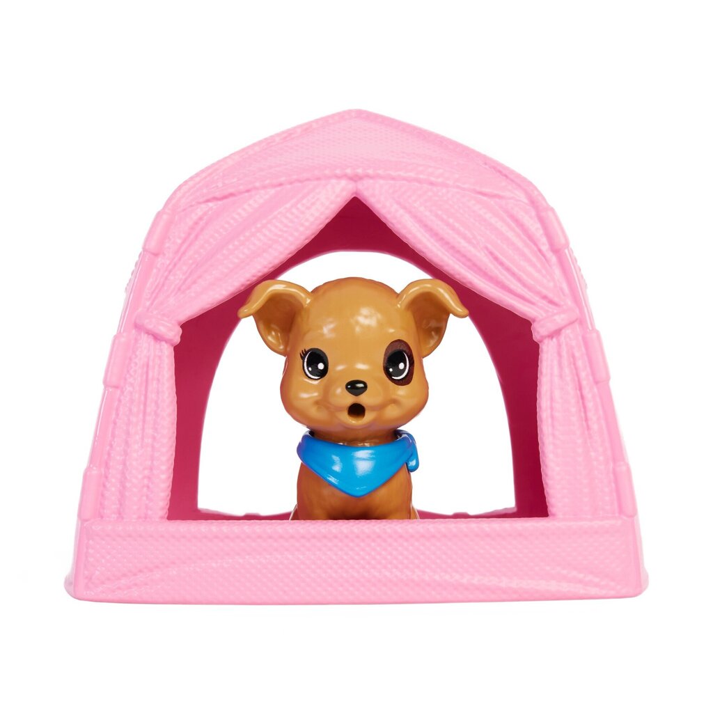 Barbie® õdede matkakomplekt HDF69 цена и информация | Tüdrukute mänguasjad | kaup24.ee