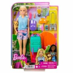 Набор игровой Barbie Малибу Кемпинг (кукла с питомцем и аксессуарами) HDF73 цена и информация | MUST Металлическая бутылочка с Ярким рисунком (без BPA) (500ml) для мальчиков от 3+ лет Серая с Машинкой | kaup24.ee