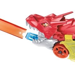 Hot Wheels® City draakoni transporter GTK42 hind ja info | Poiste mänguasjad | kaup24.ee