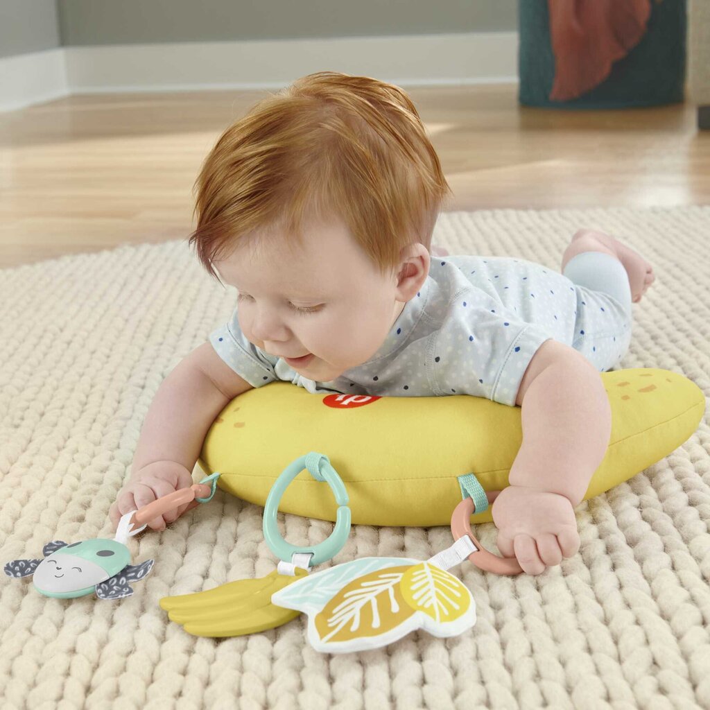 Fisher-Price® ahvipoisi mängumatt HBG85 hind ja info | Imikute mänguasjad | kaup24.ee