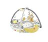 Fisher-Price® ahvipoisi mängumatt HBG85 hind ja info | Imikute mänguasjad | kaup24.ee