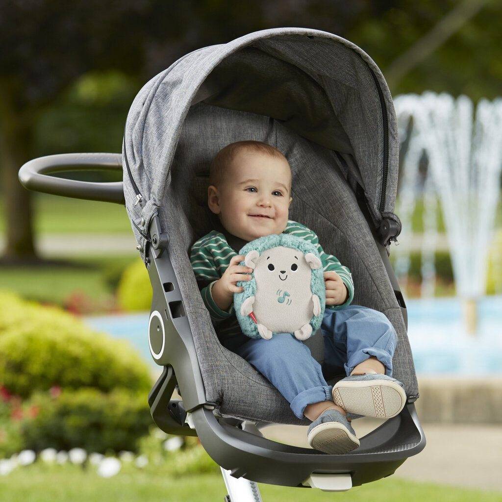 Fisher-Price® rahustav kaisusiil FXC58 hind ja info | Imikute mänguasjad | kaup24.ee