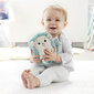 Fisher-Price® rahustav kaisusiil FXC58 цена и информация | Imikute mänguasjad | kaup24.ee