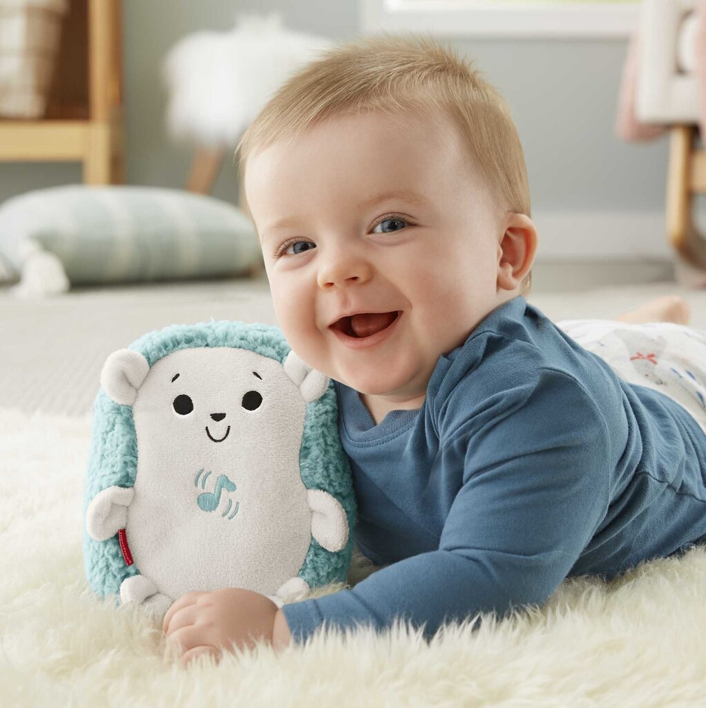 Fisher-Price® rahustav kaisusiil FXC58 hind ja info | Imikute mänguasjad | kaup24.ee