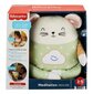 Fisher-Price® rahustav meditatsioonihiir GRV08 цена и информация | Imikute mänguasjad | kaup24.ee