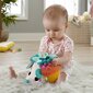 Fisher-Price® kaisusiil HBP42 hind ja info | Imikute mänguasjad | kaup24.ee