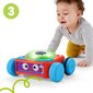 Fisher-Price® eestikeelne õppe-robot HHJ42 hind ja info | Imikute mänguasjad | kaup24.ee