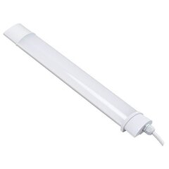 LED valgusti 40W IP65 120cm 4000K / 3320Lm hind ja info | Laelambid | kaup24.ee