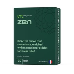 LYL Zen Bioaktiivne meloni kontsentraat, rikastatud magneesium-L-pidolaadiga hind ja info | Vitamiinid, toidulisandid, immuunsuse preparaadid | kaup24.ee