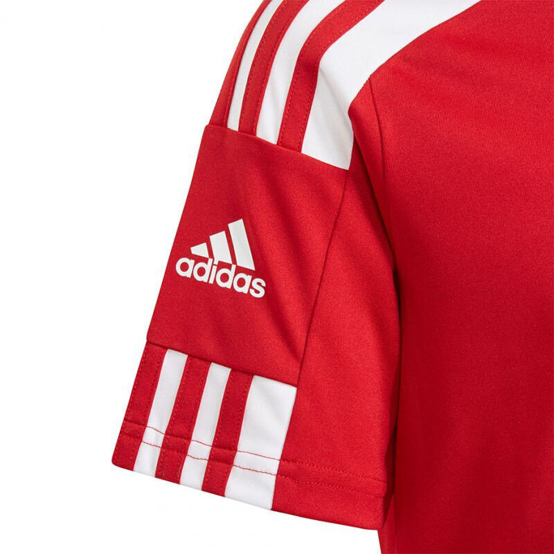 T-särk Adidas Squadra 21 Jersey Youth Jr GN5746 цена и информация | Poiste särgid | kaup24.ee