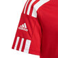 T-särk Adidas Squadra 21 Jersey Youth Jr GN5746 цена и информация | Poiste särgid | kaup24.ee