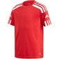 T-särk Adidas Squadra 21 Jersey Youth Jr GN5746 цена и информация | Poiste särgid | kaup24.ee