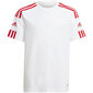 Meeste T-särk Adidas Squadra 21 Jersey Youth Jr GN5741 цена и информация | Poiste särgid | kaup24.ee