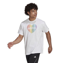 Футболка мужская Adidas Unisex Pride Heart Graphic GT6815 цена и информация | Мужская спортивная одежда | kaup24.ee