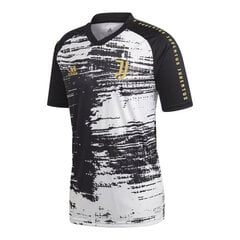 Meeste T-särk Adidas Juventus Turin M FI4891 hind ja info | Meeste spordiriided | kaup24.ee