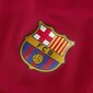 Meeste spordisärk Nike FC Barcelona M CW3939-620 hind ja info | Meeste spordiriided | kaup24.ee