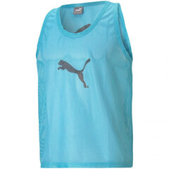 Мужская спортивная футболка Puma Bib M 65725141, синяя цена и информация | Мужская спортивная одежда | kaup24.ee