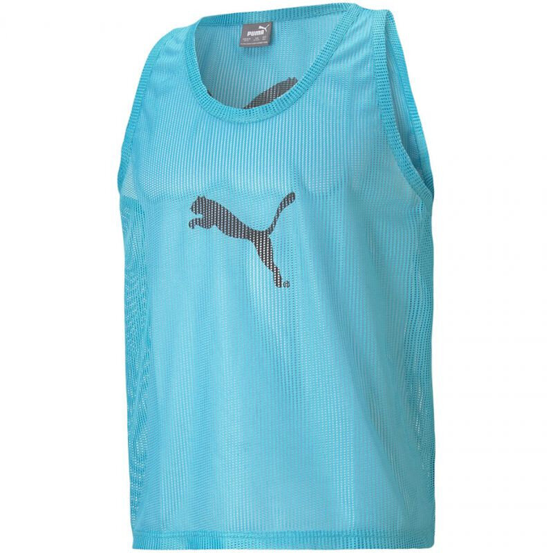 Meeste T-särk Puma Bib M 65725141, sinine цена и информация | Meeste spordiriided | kaup24.ee