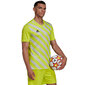Meeste T-särk Adidas Entrada 22 Graphic Jersey M HF0118, kollane hind ja info | Meeste spordiriided | kaup24.ee