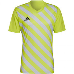 Мужская спортивная футболка Adidas Entrada 22 Graphic Jersey M HF0118, желтая цена и информация | Adidas Одежда, обувь и аксессуары | kaup24.ee