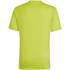 Мужская спортивная футболка Adidas Entrada 22 Graphic Jersey M HF0118, желтая цена и информация | Мужская спортивная одежда | kaup24.ee