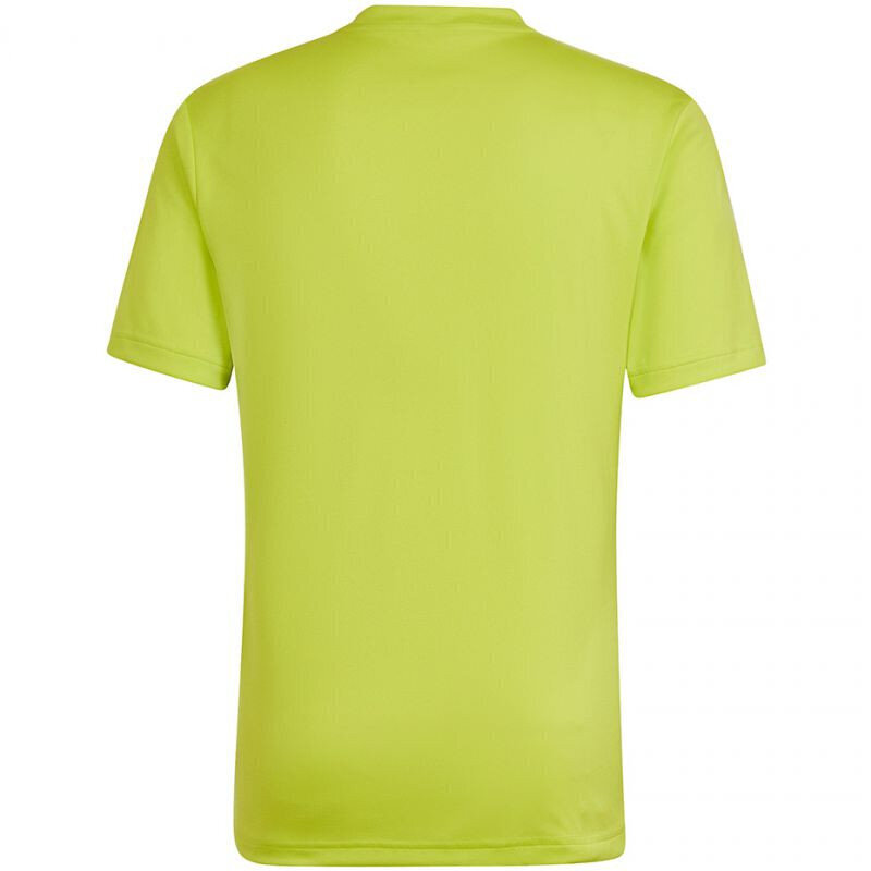 Meeste T-särk Adidas Entrada 22 Graphic Jersey M HF0118, kollane цена и информация | Meeste spordiriided | kaup24.ee