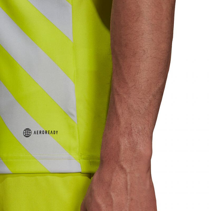 Meeste T-särk Adidas Entrada 22 Graphic Jersey M HF0118, kollane hind ja info | Meeste spordiriided | kaup24.ee