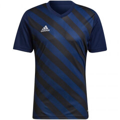 Meeste T-särk Adidas Entrada 22 Graphic Jersey M HF0131, sinine hind ja info | Meeste spordiriided | kaup24.ee