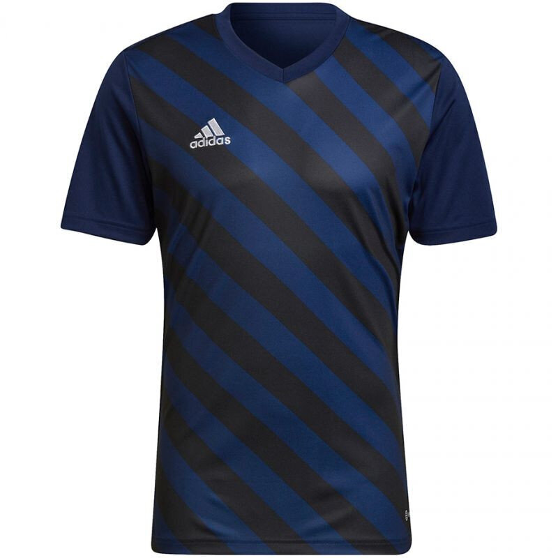 Meeste T-särk Adidas Entrada 22 Graphic Jersey M HF0131, sinine цена и информация | Meeste spordiriided | kaup24.ee