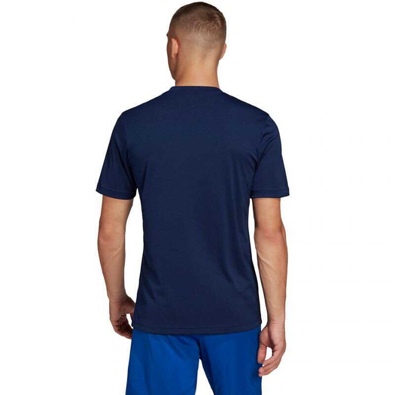 Meeste T-särk Adidas Entrada 22 Graphic Jersey M HF0131, sinine цена и информация | Meeste spordiriided | kaup24.ee