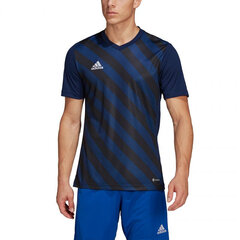 Meeste T-särk Adidas Entrada 22 Graphic Jersey M HF0131, sinine цена и информация | Мужская спортивная одежда | kaup24.ee