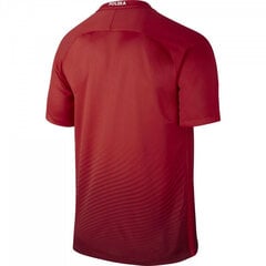 Спортивная футболка для мужчин Nike Poland Away Stadium M 724633611, красная цена и информация | Мужские футболки | kaup24.ee