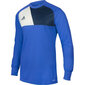 T-särk meestele Adidas Assita 17 M AZ5399, sinine цена и информация | Meeste T-särgid | kaup24.ee