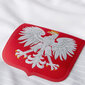 Meeste T-särk Nike Poland Vapor Match Home M 922939100, valge hind ja info | Meeste T-särgid | kaup24.ee