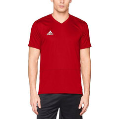 Футболка мужская Adidas Condivo 18 TR M CG0353, красная цена и информация | Мужские футболки | kaup24.ee