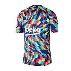 Meeste T-särk Nike FC Barcelona Pre Match 20/21 M CW7750492, sinine hind ja info | Meeste T-särgid | kaup24.ee