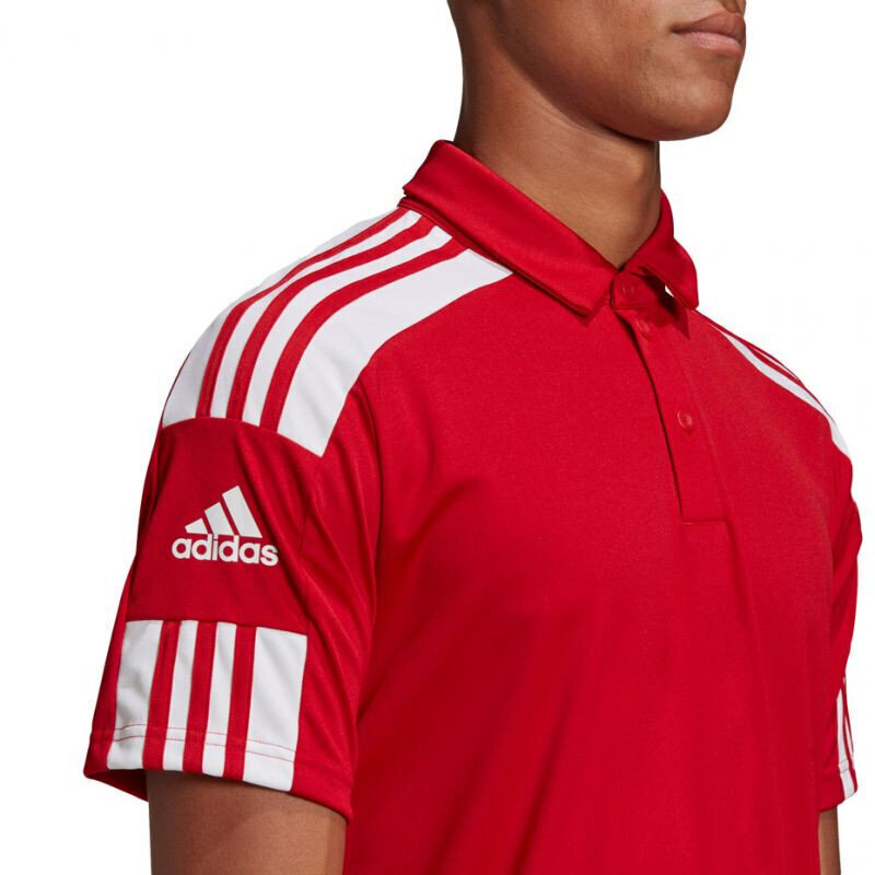 Meeste spordisärk Adidas Squadra 21 Polo M GP6429, punane цена и информация | Meeste spordiriided | kaup24.ee