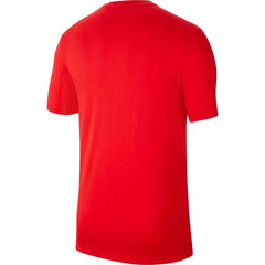 Nike T-särk poistele JR Dri Fit Park 20 CW6941, punane hind ja info | Poiste särgid | kaup24.ee