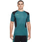 Meeste T-särk Nike Dry Acd Top Ss Fp Mx M CV1475 393, roheline hind ja info | Meeste T-särgid | kaup24.ee