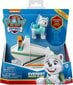 Paw Patrol Everesti lumesahk - Paw Patrol Everest Snow Plow hind ja info | Poiste mänguasjad | kaup24.ee