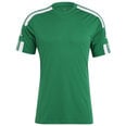 Мужская футболка Adidas Squadra 21 JSY M GN5721, зеленая