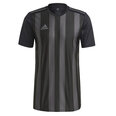 Meeste T-särk Adidas Striped 21 JSY M GN7625, must