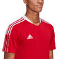 Meeste T-särk Adidas Tiro 21 Training Jersey Jr GM7588, punane цена и информация | Meeste T-särgid | kaup24.ee