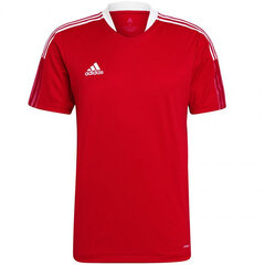 Футболка мужская Adidas Tiro 21 Training Jersey M GM7588, красная цена и информация | Мужские футболки | kaup24.ee