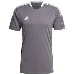 Футболка мужская Adidas Tiro 21 Training Jersey M GM7587, серая цена и информация | Мужские футболки | kaup24.ee