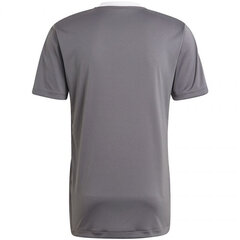 Meeste T-särk Adidas Tiro 21 Training Jersey M GM7587, hall hind ja info | Meeste T-särgid | kaup24.ee