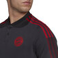 Meeste T-särk Adidas Bayern Munich M GR064, sinine hind ja info | Meeste T-särgid | kaup24.ee