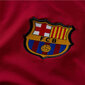 Meeste T-särk Nike FC Barcelona Strike Soccer Drill Top M CW1736 621, punane цена и информация | Meeste T-särgid | kaup24.ee