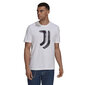 Meeste T-särk Adidas Juventus Tee M GR2907, valge цена и информация | Meeste T-särgid | kaup24.ee