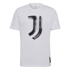 Meeste T-särk Adidas Juventus Tee M GR2907, valge hind ja info | Meeste T-särgid | kaup24.ee